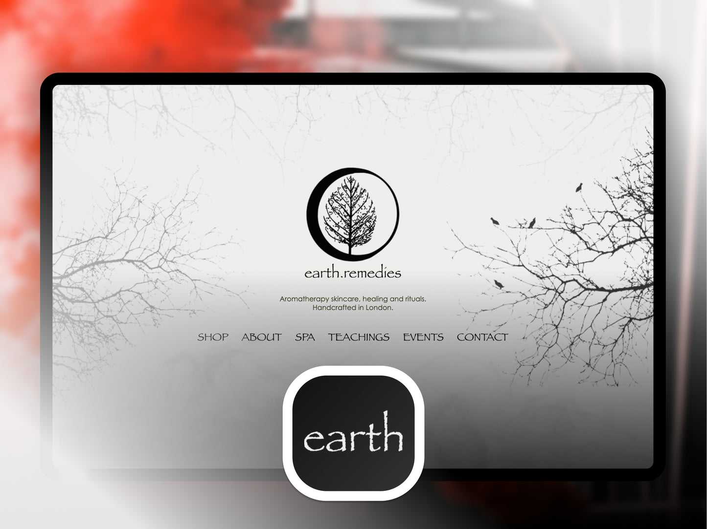 Intro page