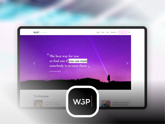 Business website Shopify